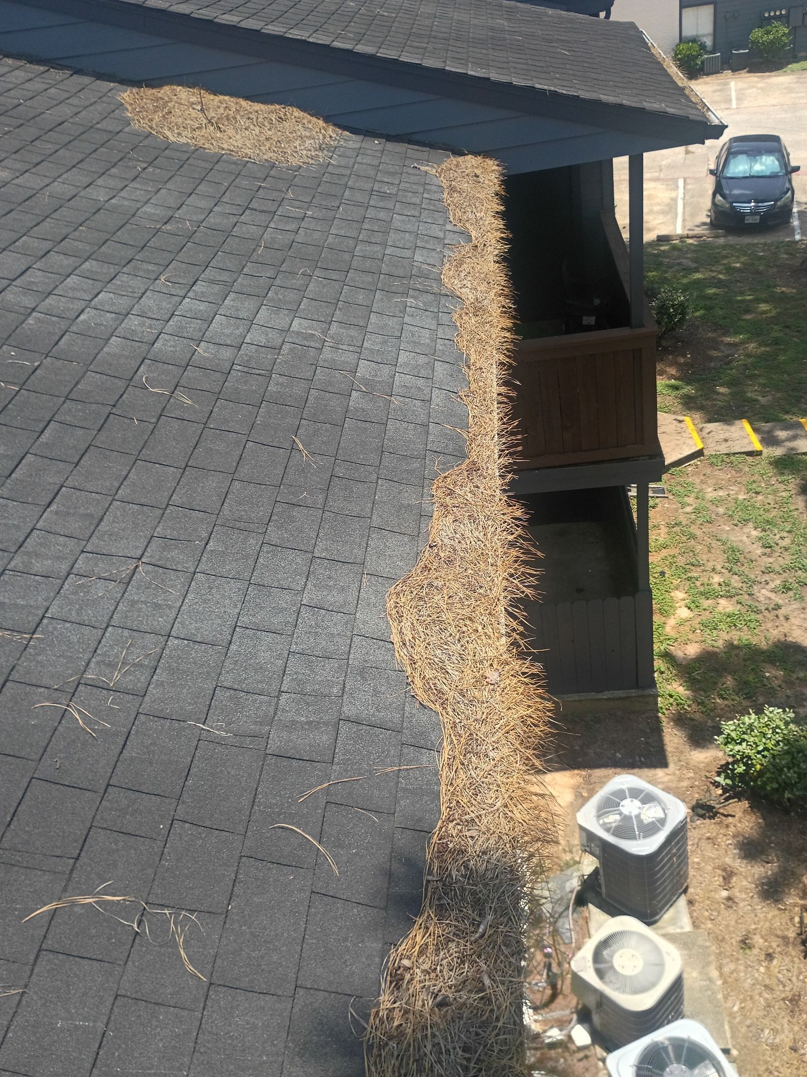 Commercial gutter cleaning College Station & Bryan, TX before photo with filled gutters