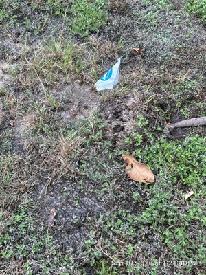 Yard Line Water Service Repair in College Station, Texas