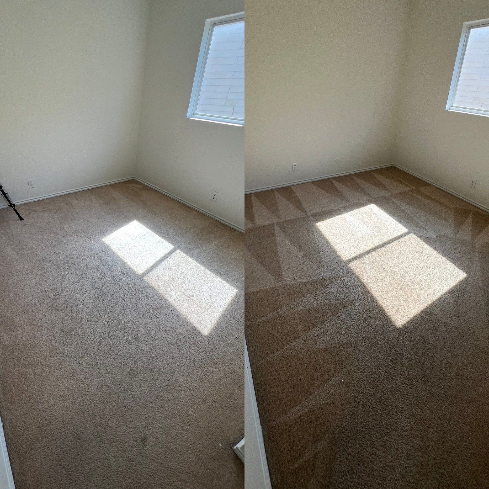 carpet cleaning service is being performed making the carpet look fresh and removing dirt and stains effectively