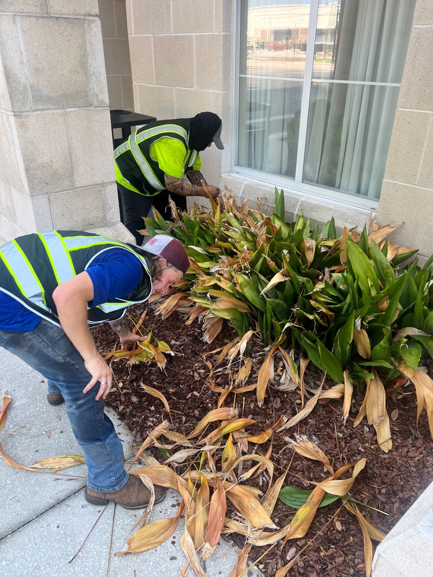 Homewood Suites | Tree Service by ProGreen Services