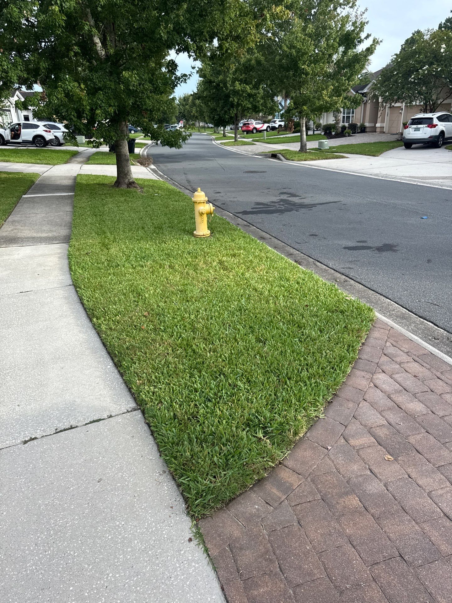 Residential | Sod Installation by ProGreen Services