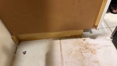 Slab Leak Restoration — Bonita Springs, FL