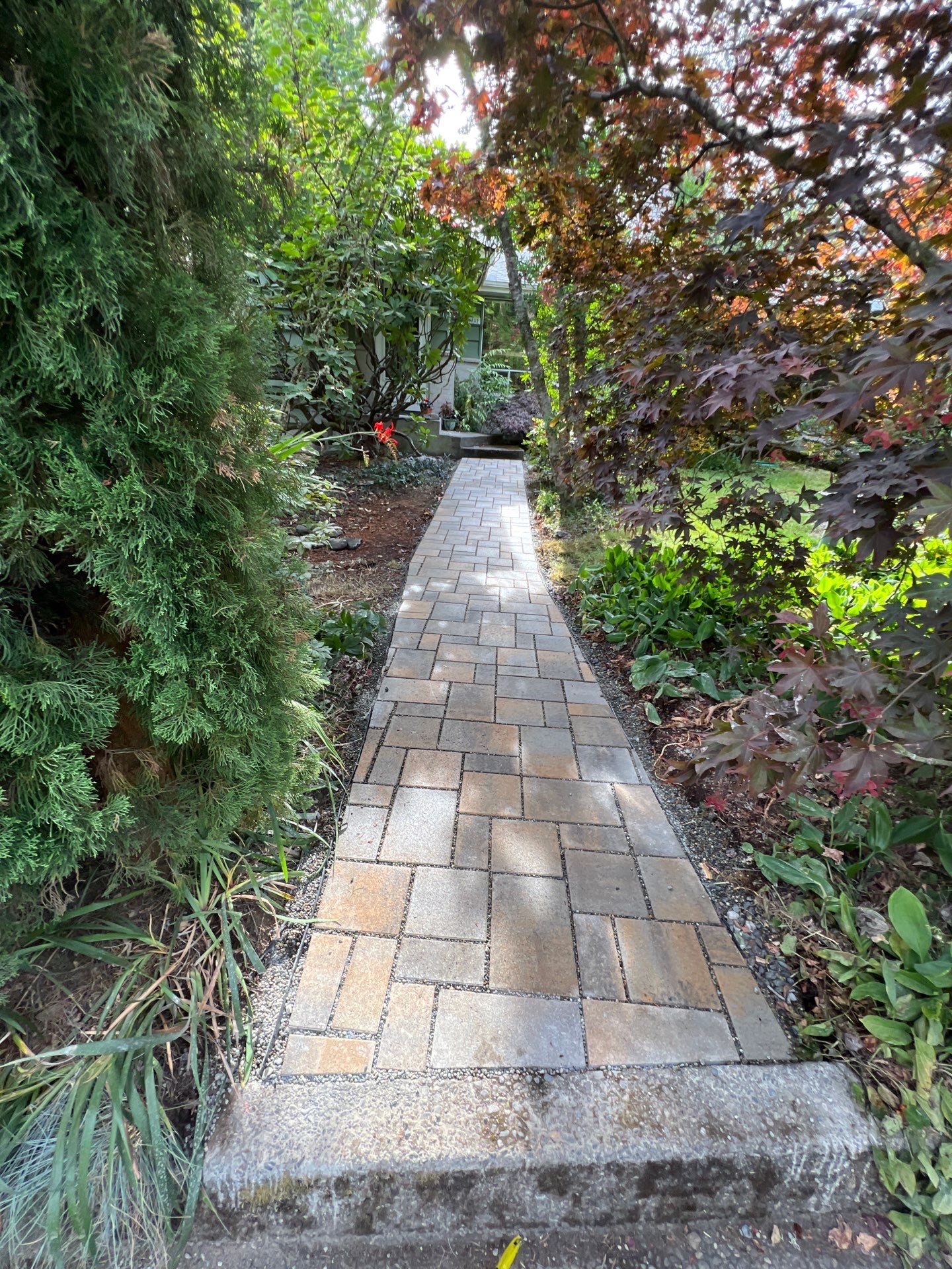 Pavers Driveway & Walkway with Concrete Lip | Seattle  by Jireh Asphalt & Concrete Inc 