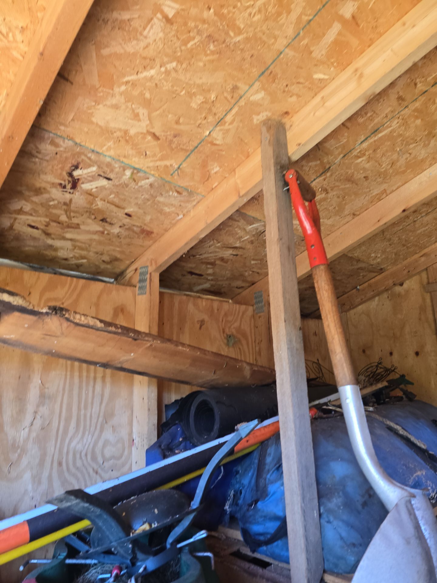 Shed Transformation – Roof & Exterior Upgrade by Johnny Five Construction 