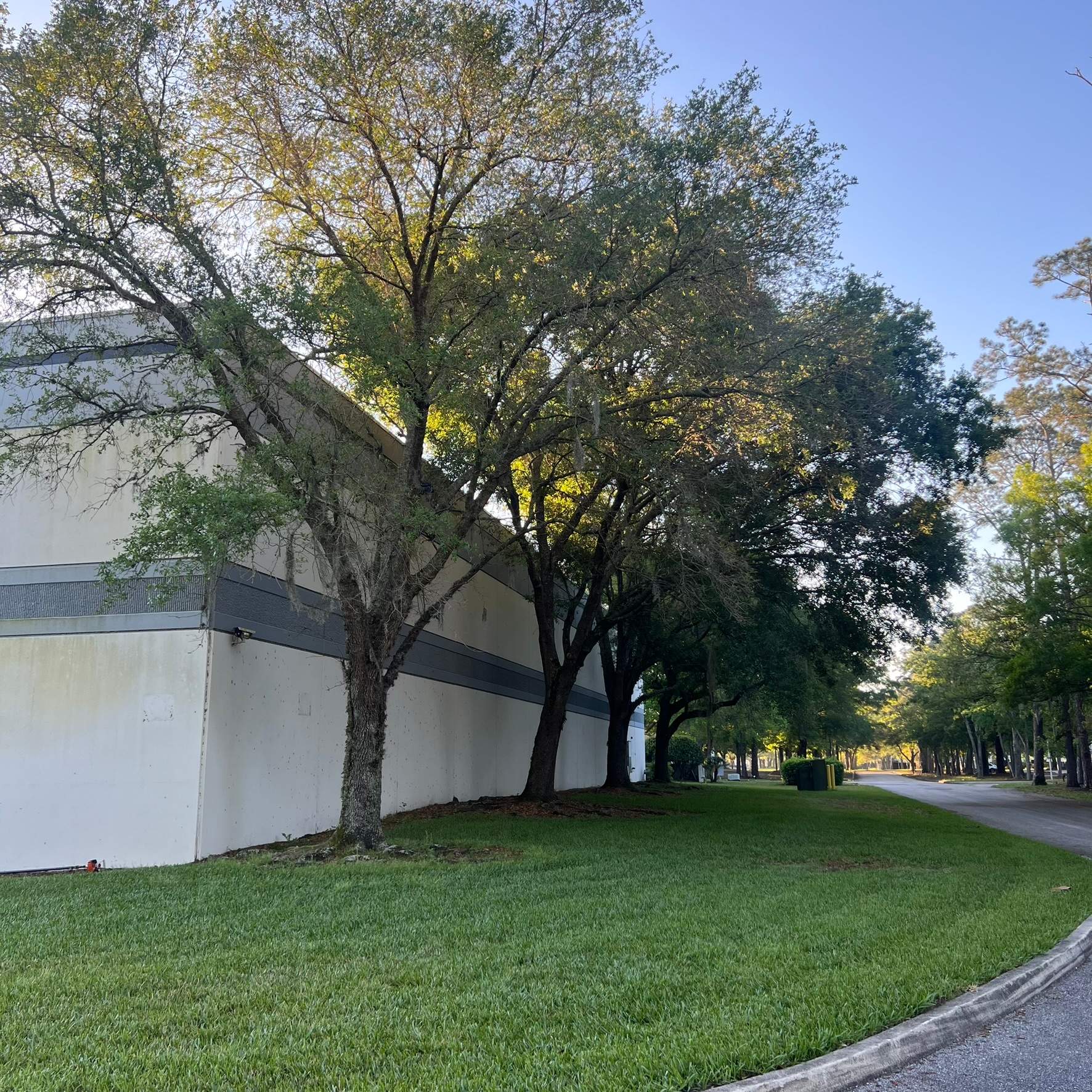 Tree Work | Autobahn Raceway by ProGreen Services