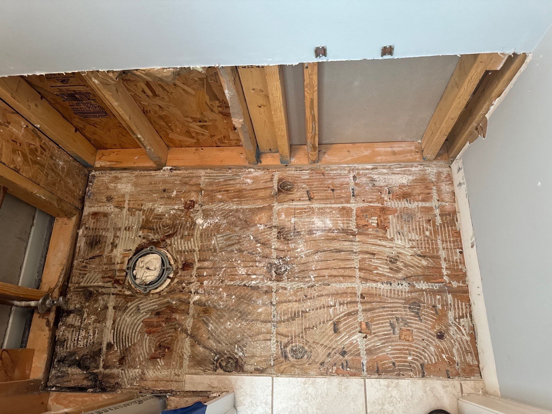 Shower Pan Leak by Chicagoland Water Medics