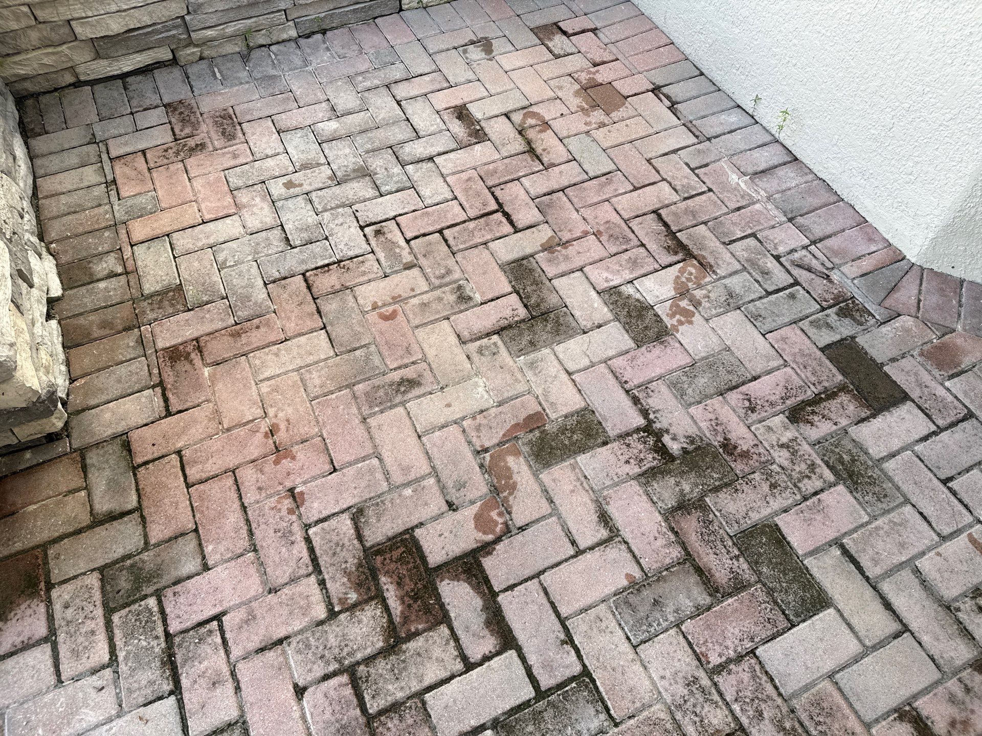Complete House Wash, Driveway & Lanai Cleaning – Trevesta, Palmetto FL by Sunshine AquaWash