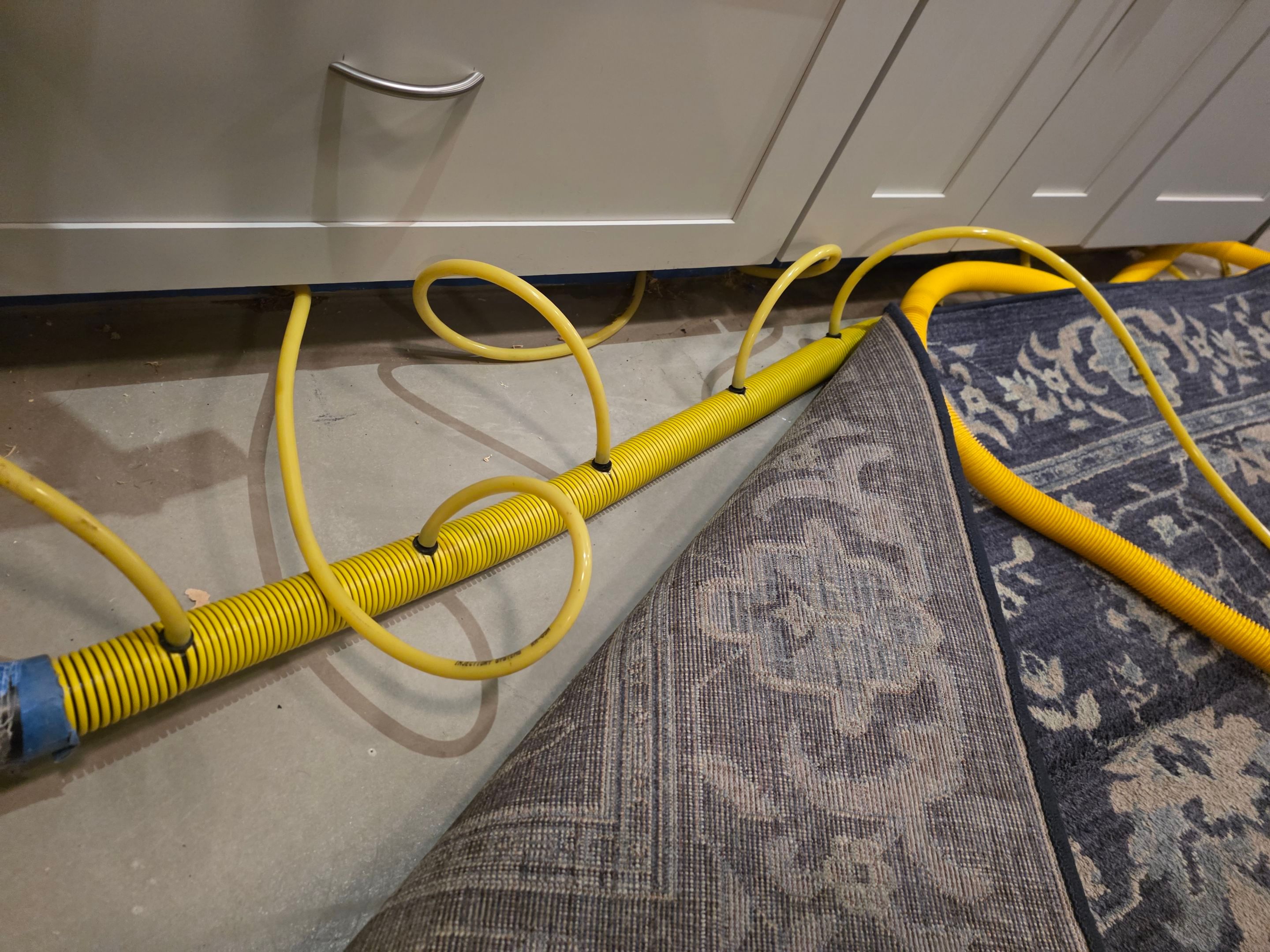 Anna and Allan Branch  by Service Restoration