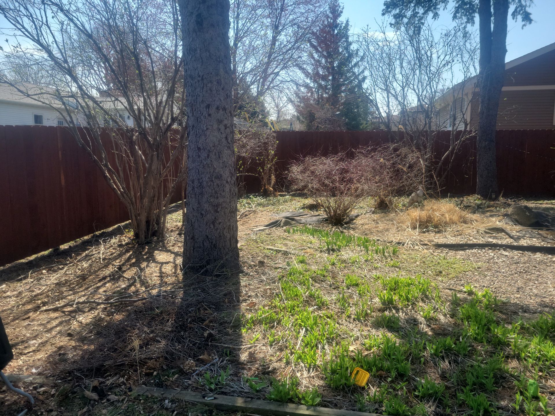 Stained Cedar Wood Privacy Fence Installation in Cedar Falls by Perfect Picket Fence and Stain