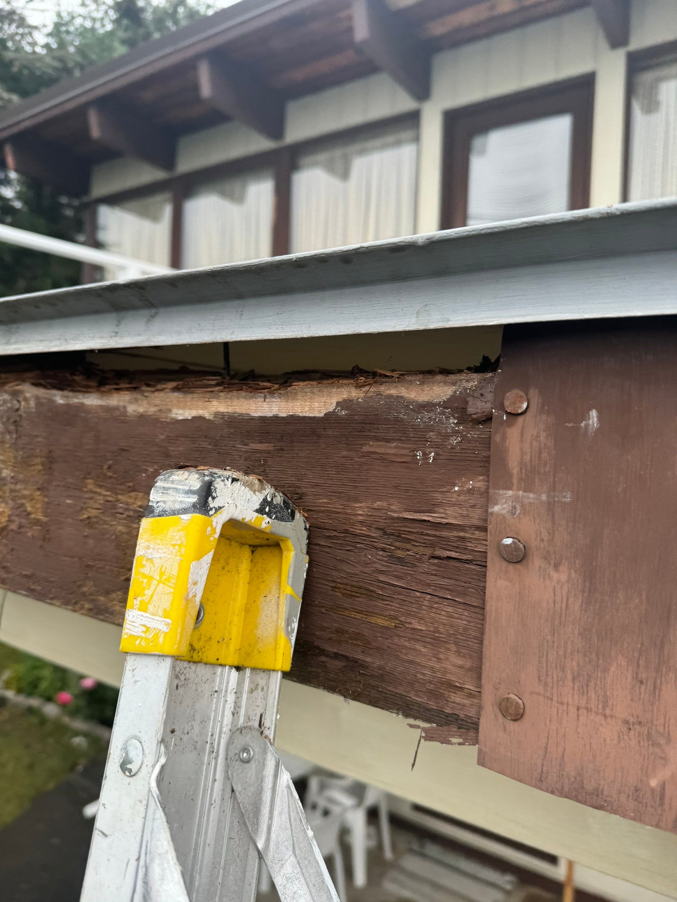 Exterior Window Trim Painting In North Vancouver  by YVR Construction Group