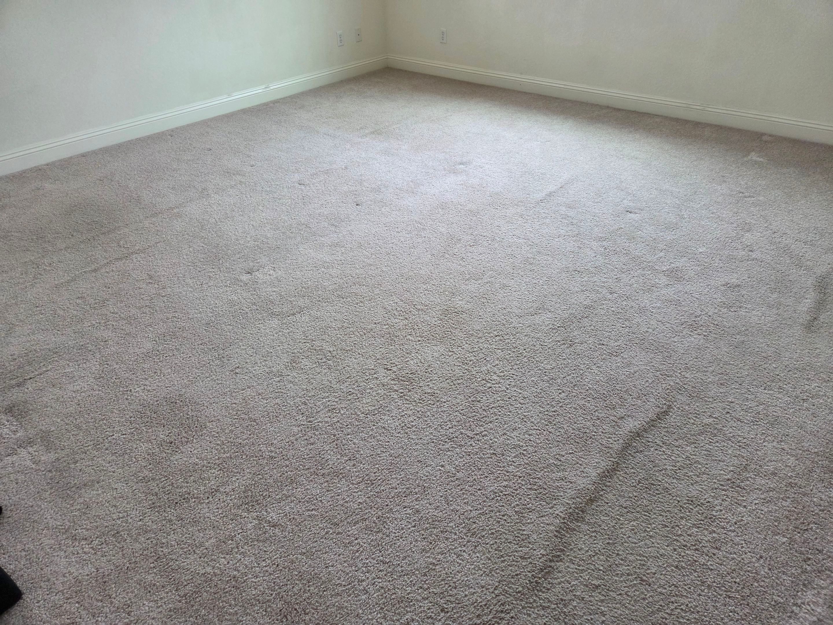 Carpet Re-stretch and Cleaning in EDH by Ardent Carpet Restore LLC
