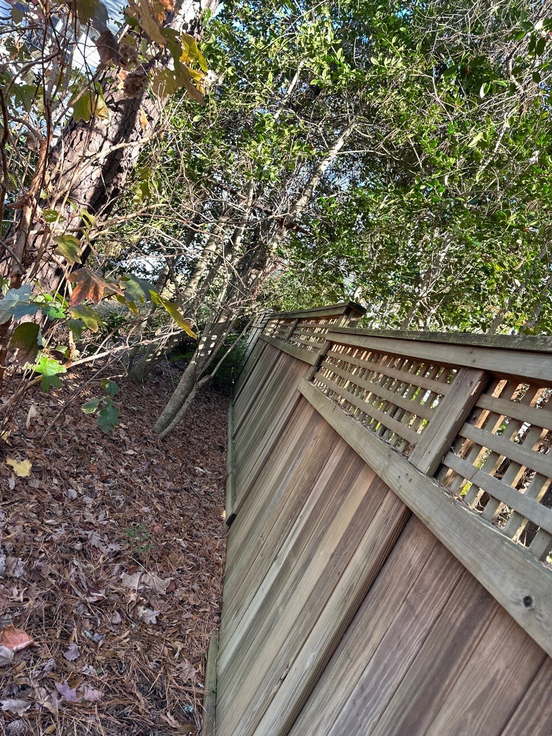Fence using Wood Sealant by DuraSeal