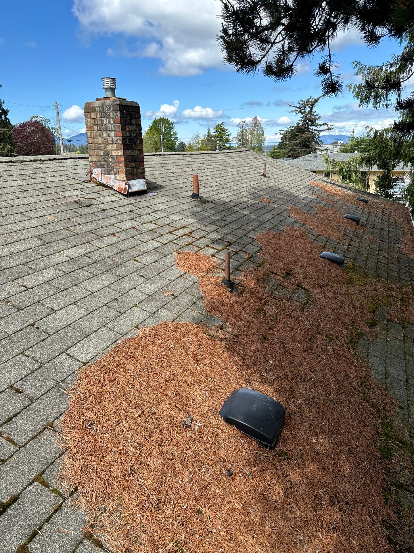 Project in Anacortes by Connolly Construction Company