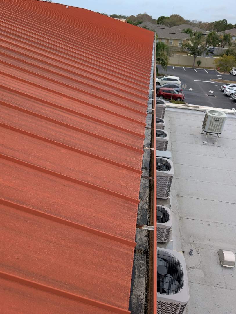 Retail roof & gutter cleaning before cleaning photo.