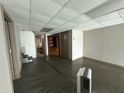 Basement Mold Remediation