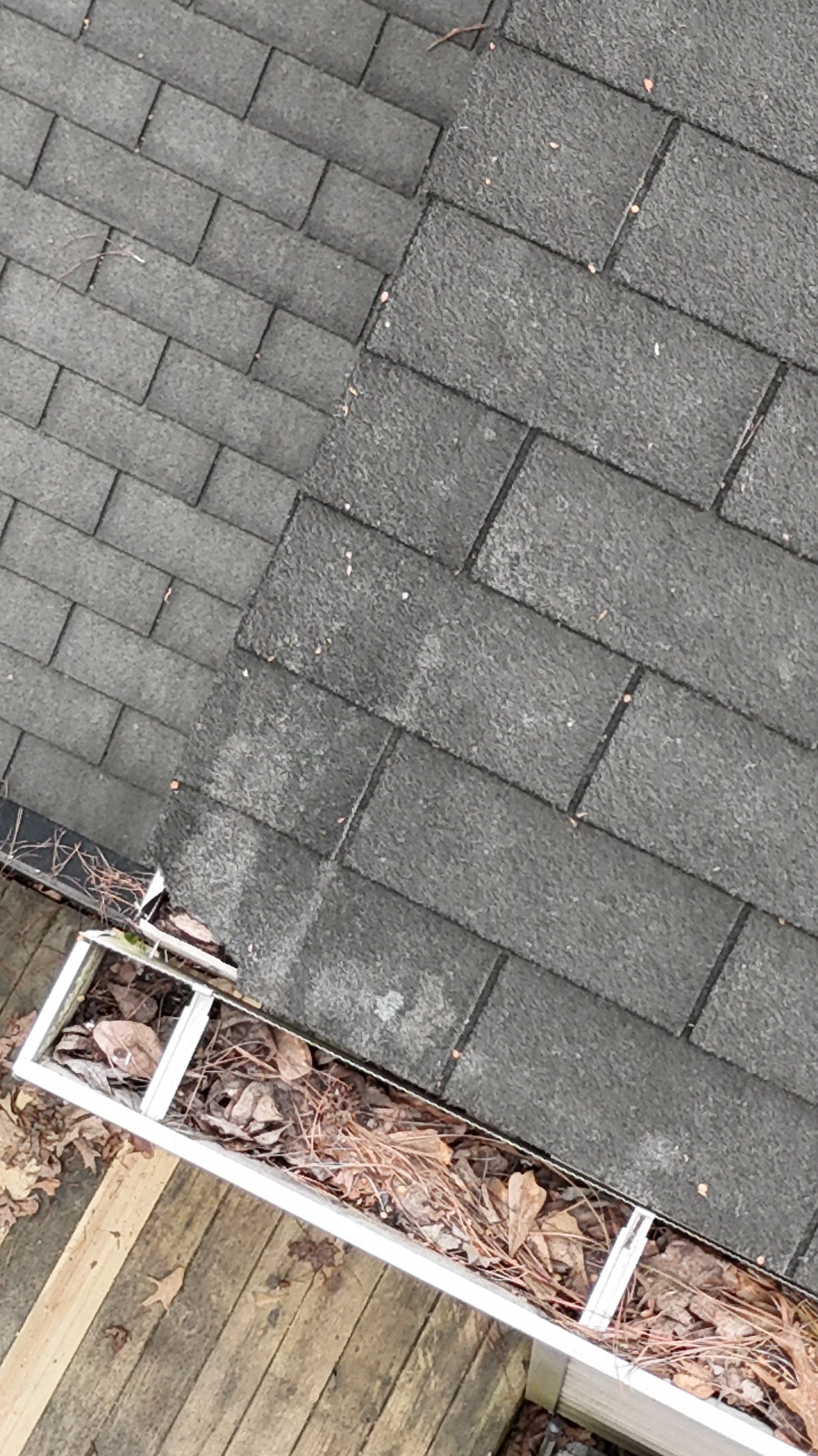 Free Roof Inspection Jacksonville, NC by North Carolina Roofs