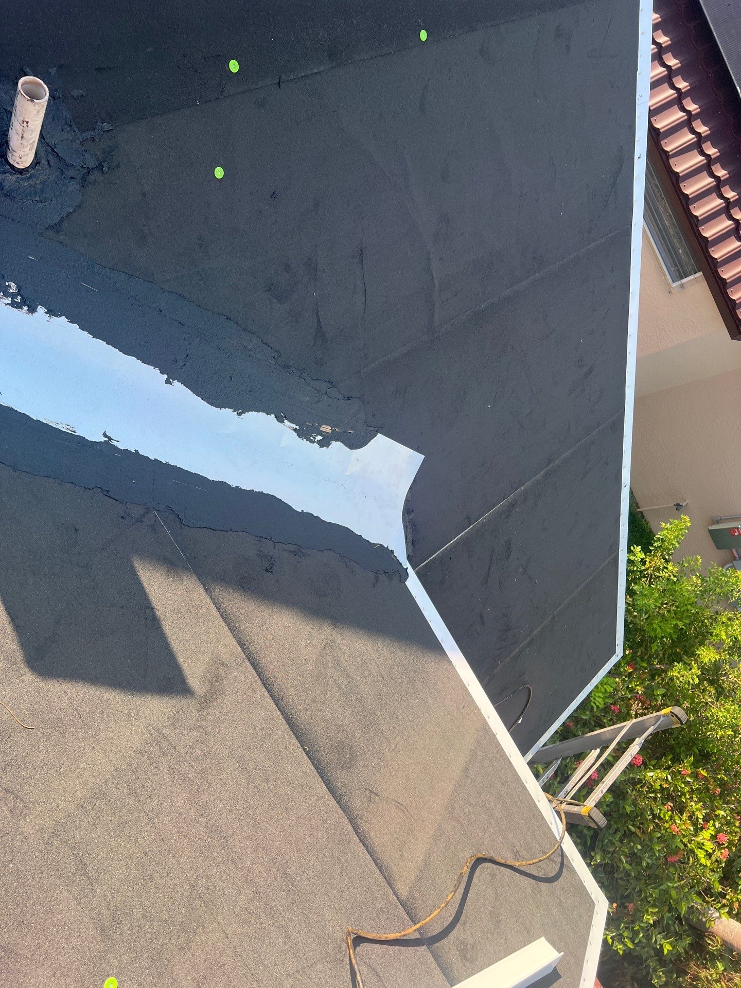 Tamko Titan Shingles by Durabilis Roofing INC