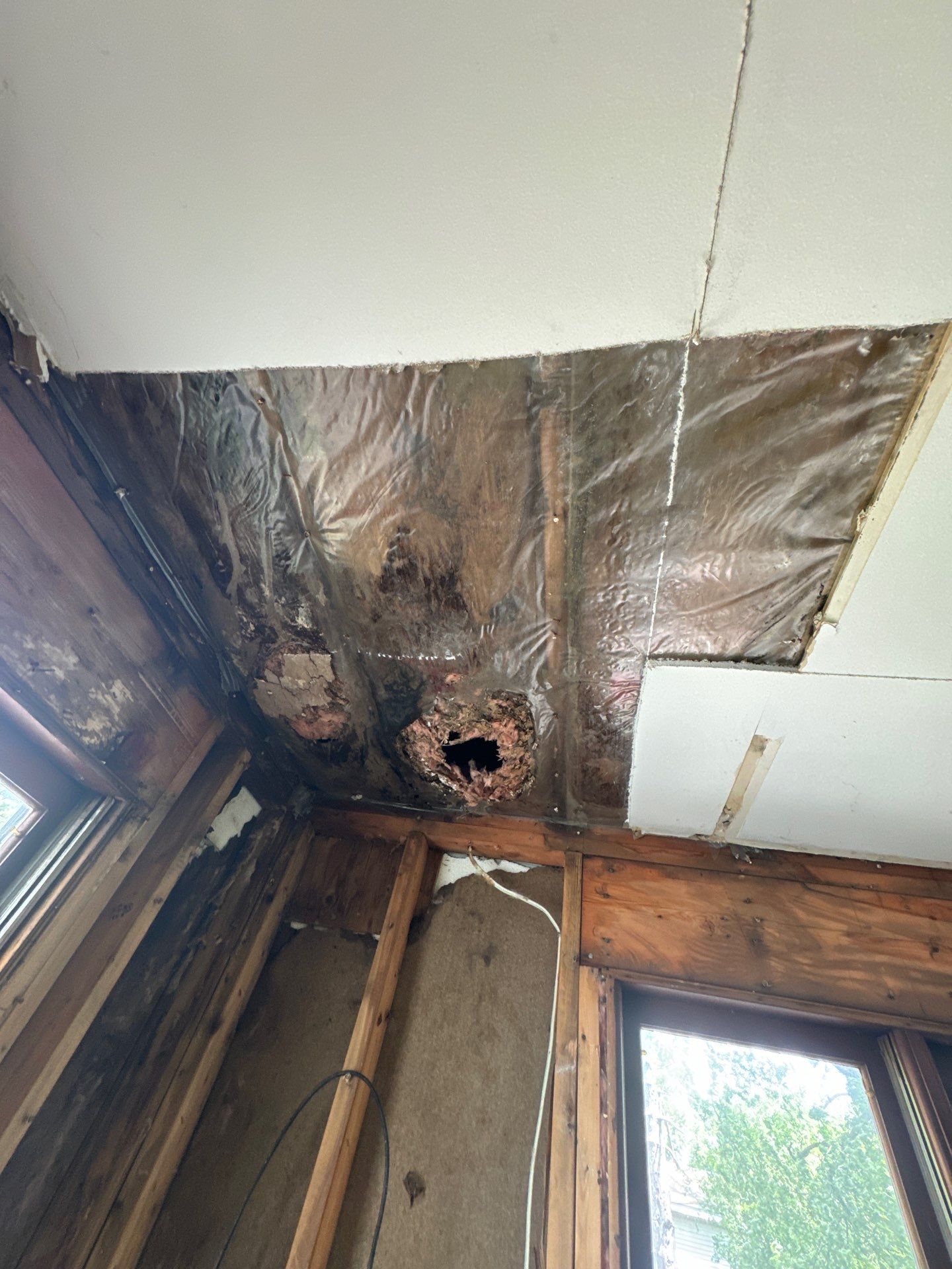 Roof Leak by Chicagoland Water Medics