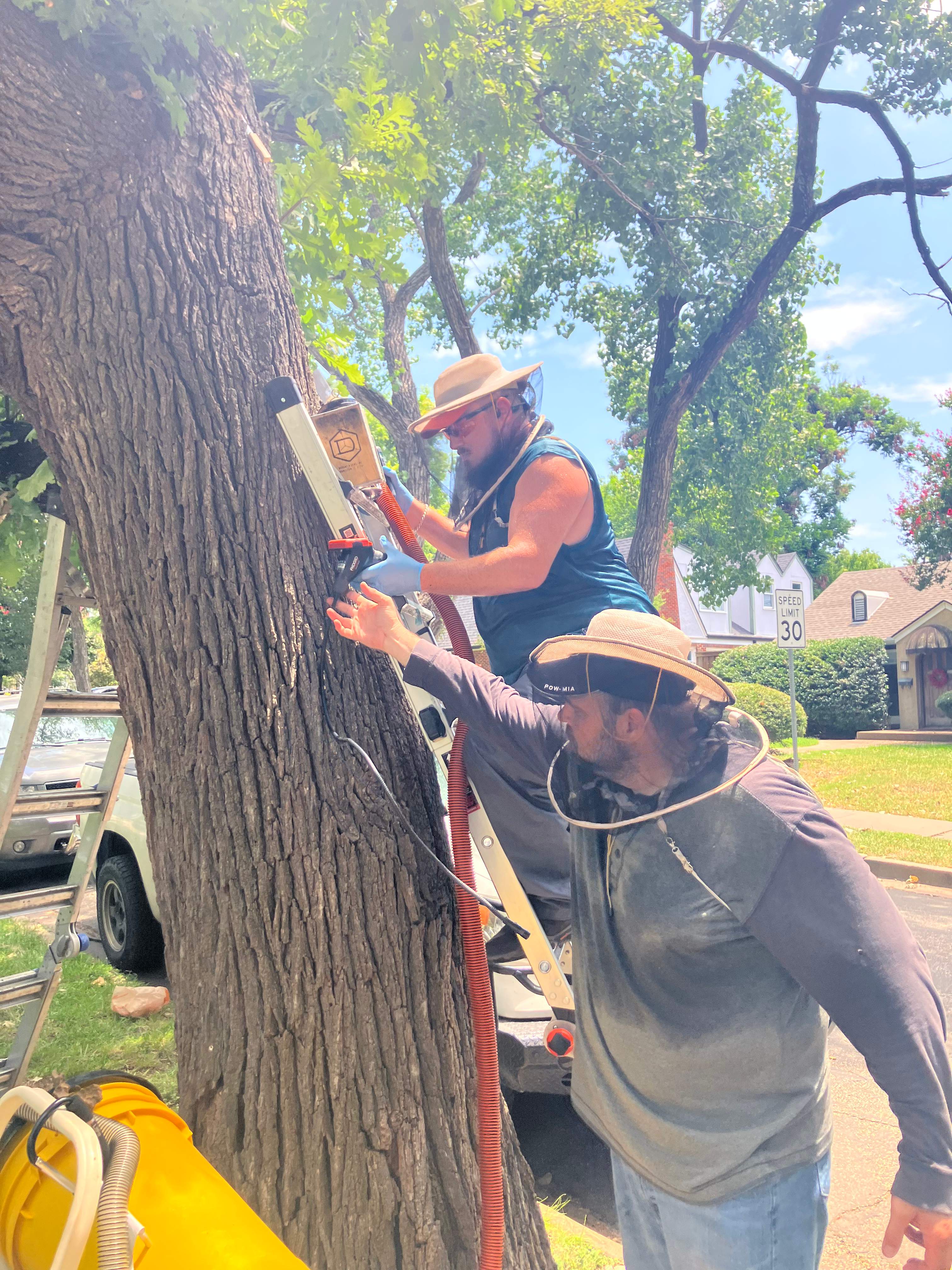 Tight Squeeze by Rockwall Honey Bee Company
