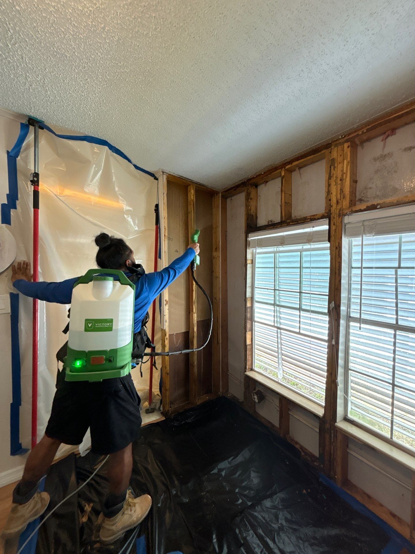 Mold Remediation Palmetto by Ampm Restoration Services 