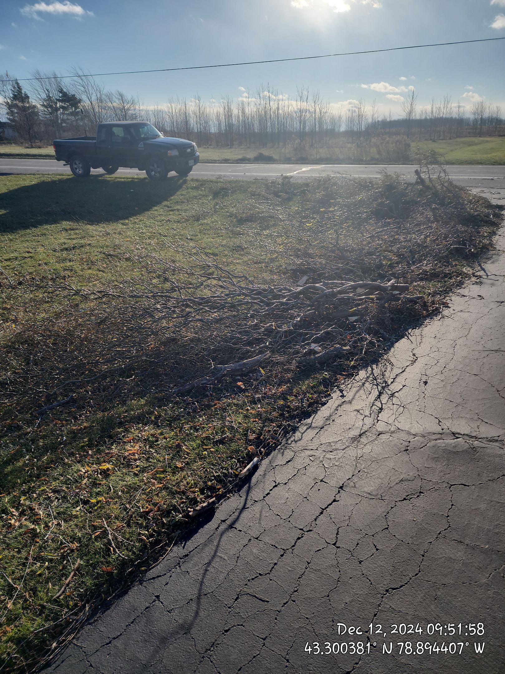 Emergency Job: Clear driveway by Treeman Tom LLC