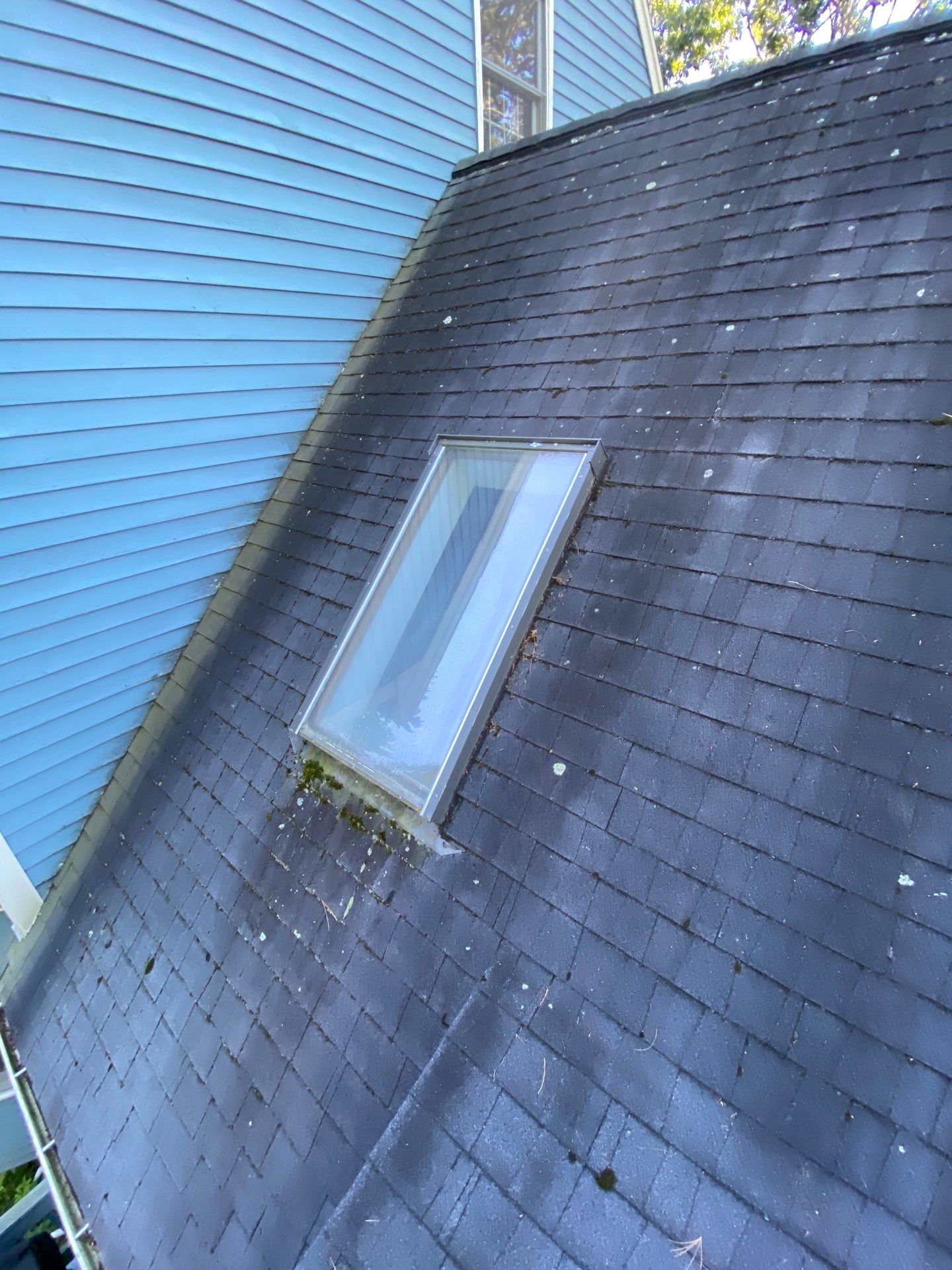 Milford Complete Roof Replacement with Velux Skylight Upgrade by Mighty Dog Roofing of Greater Middlesex County