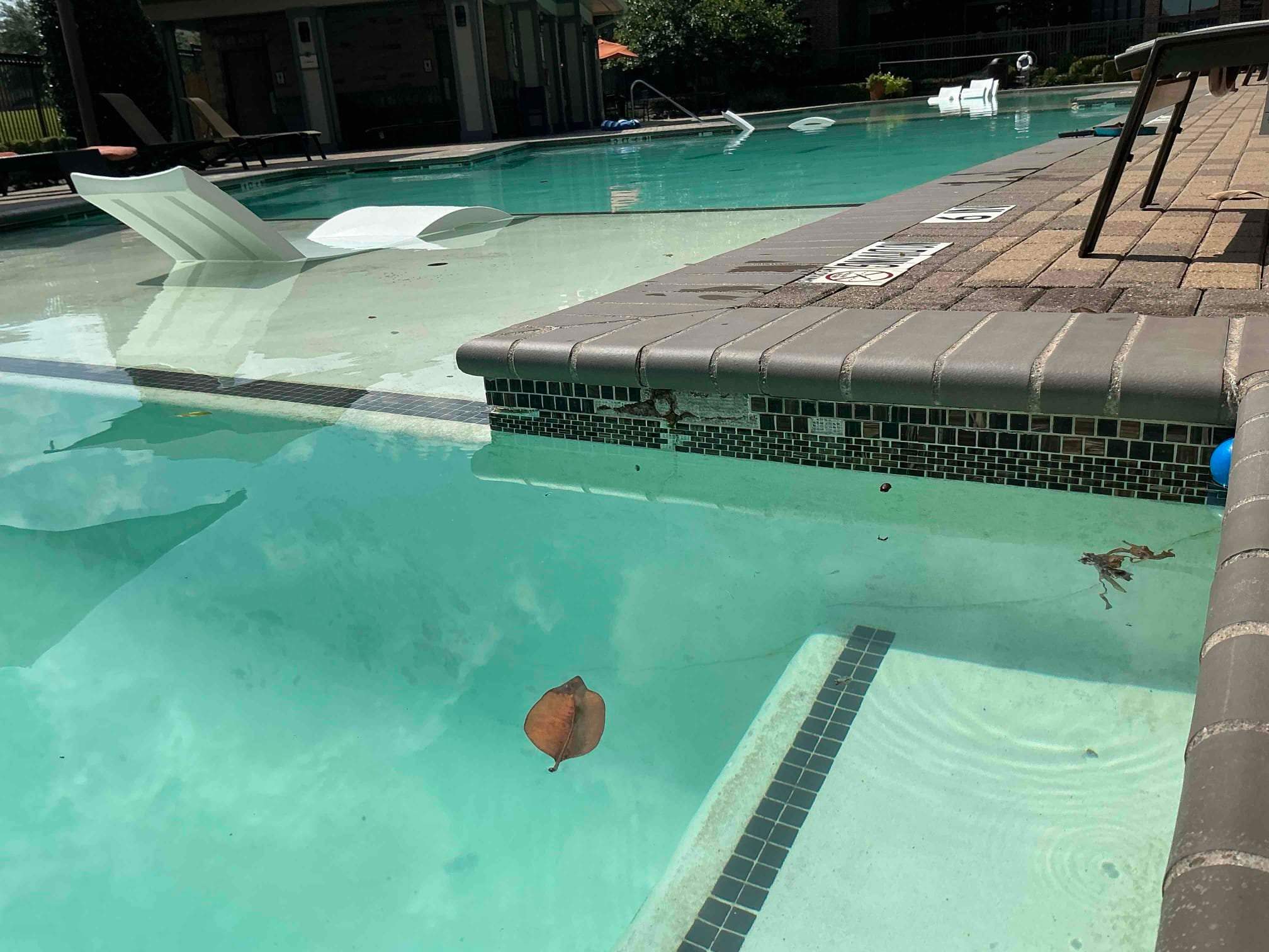 Sorrel Fairview by Sink or Swim Pools
