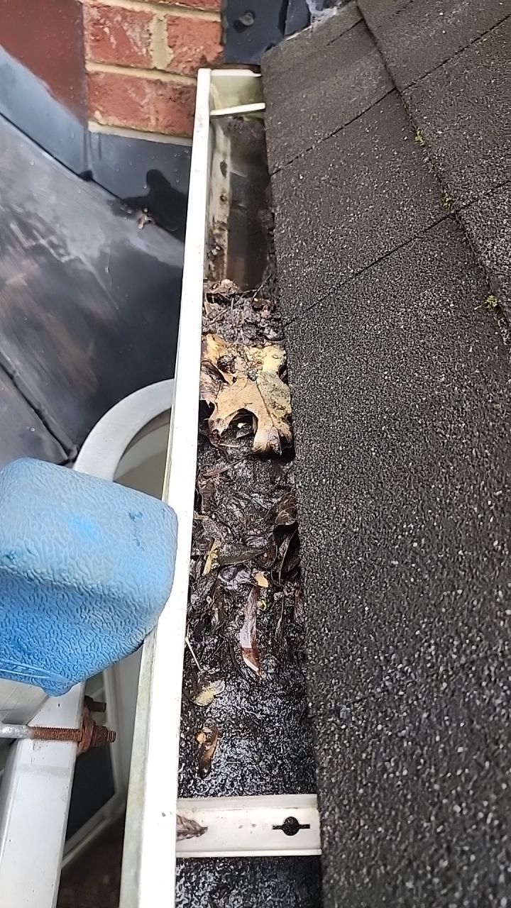 House Wash using cleaner by Power Wash Masters LLC