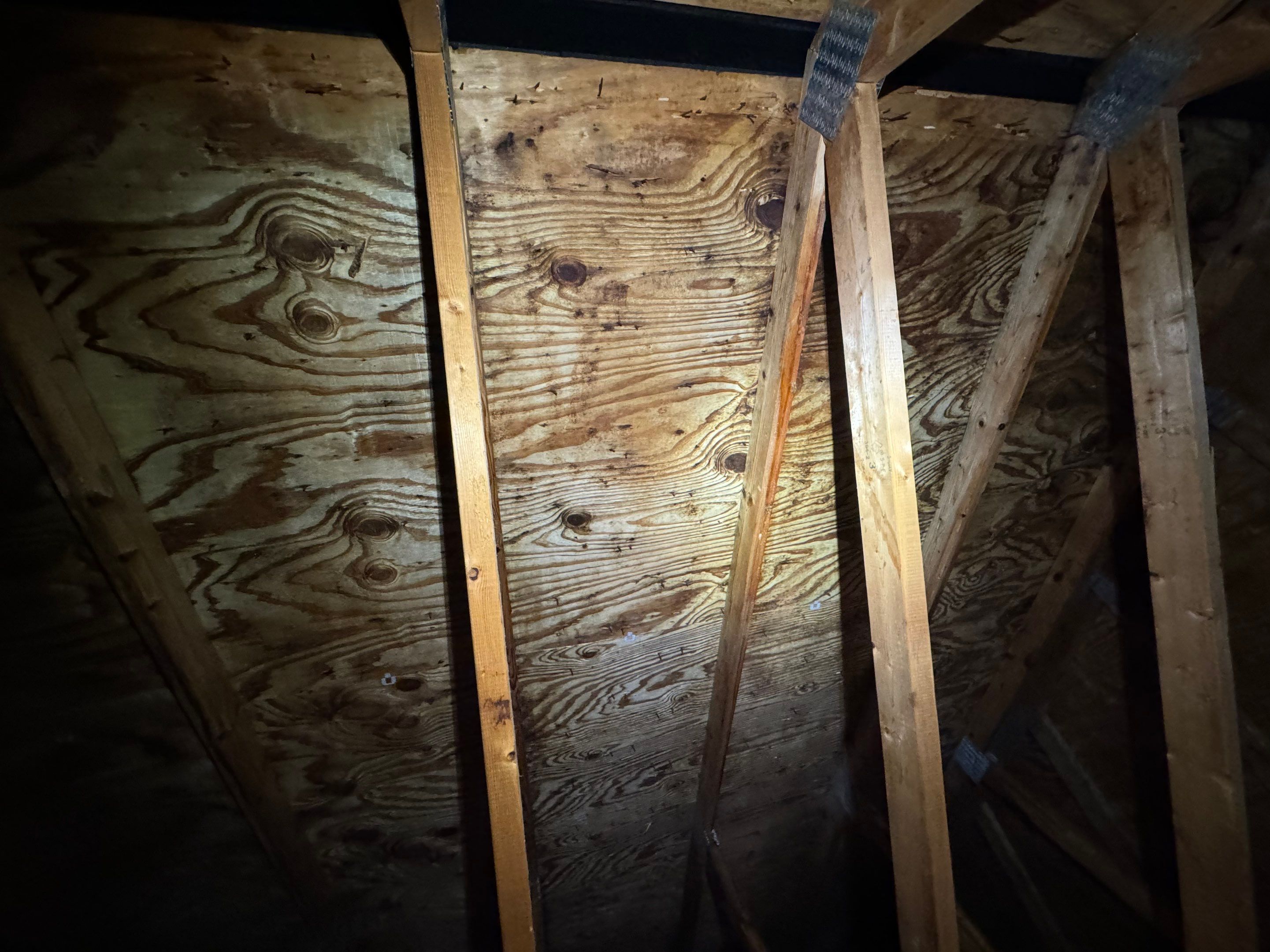 Attic Mold Remediation using Home Guarantee by Home Guarantee, LLC