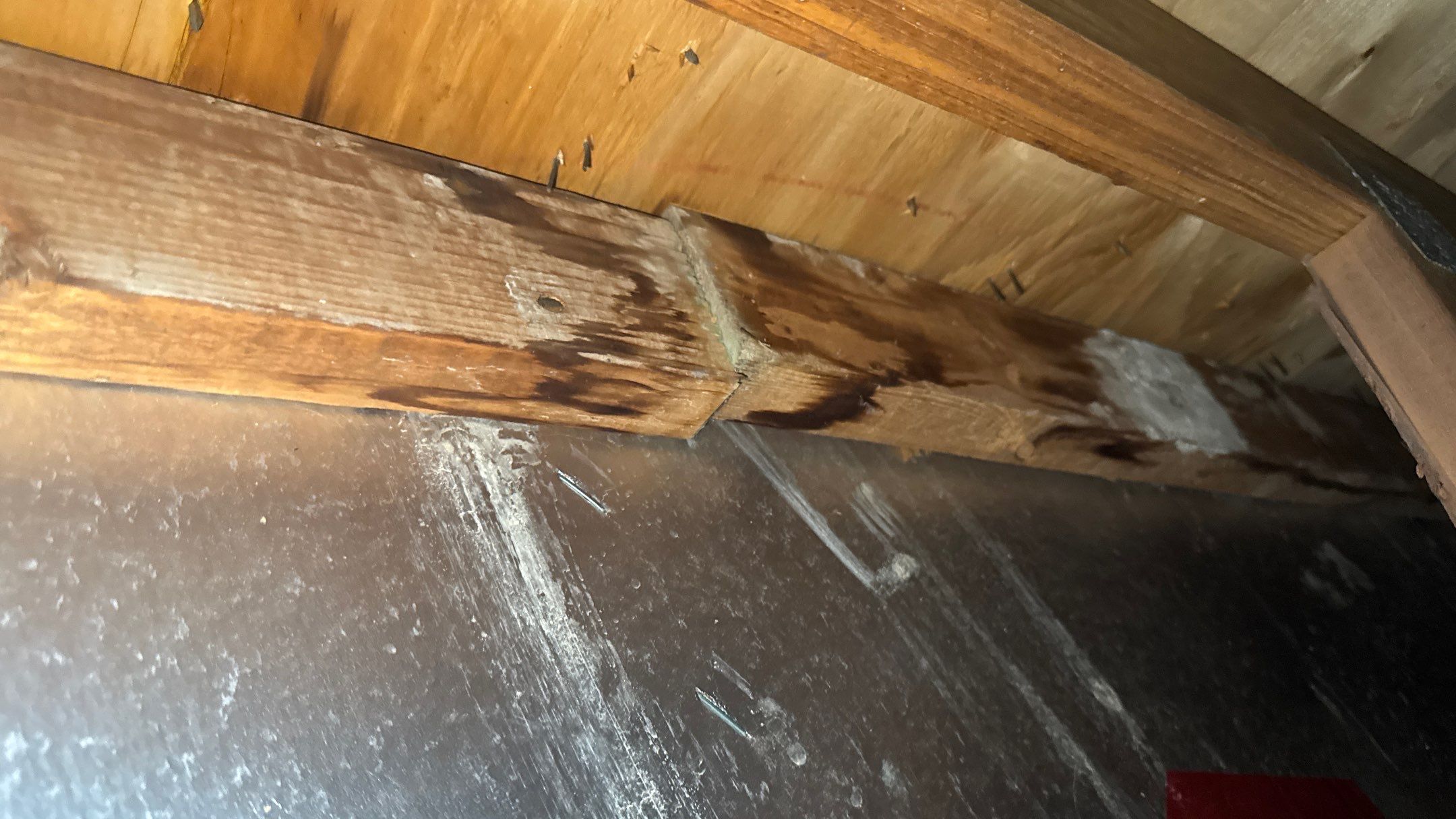 Roof Replacement using Owens Corning Teak by 180 Contractors