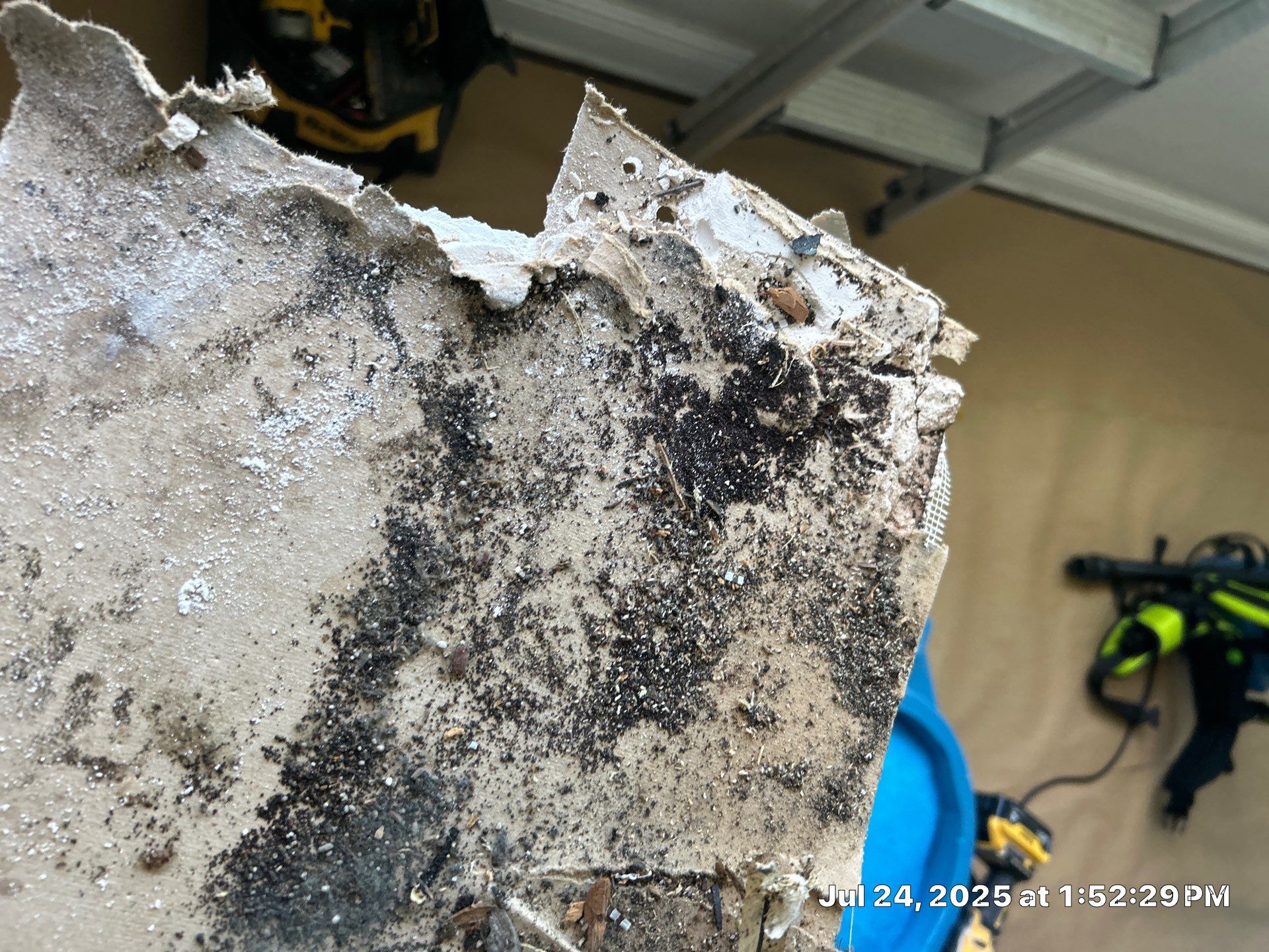 Mold Inspection & Mold Removal In St. Petersburg, FL by Ampm Restoration Services