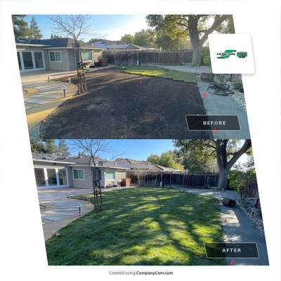 Project in Los Altos