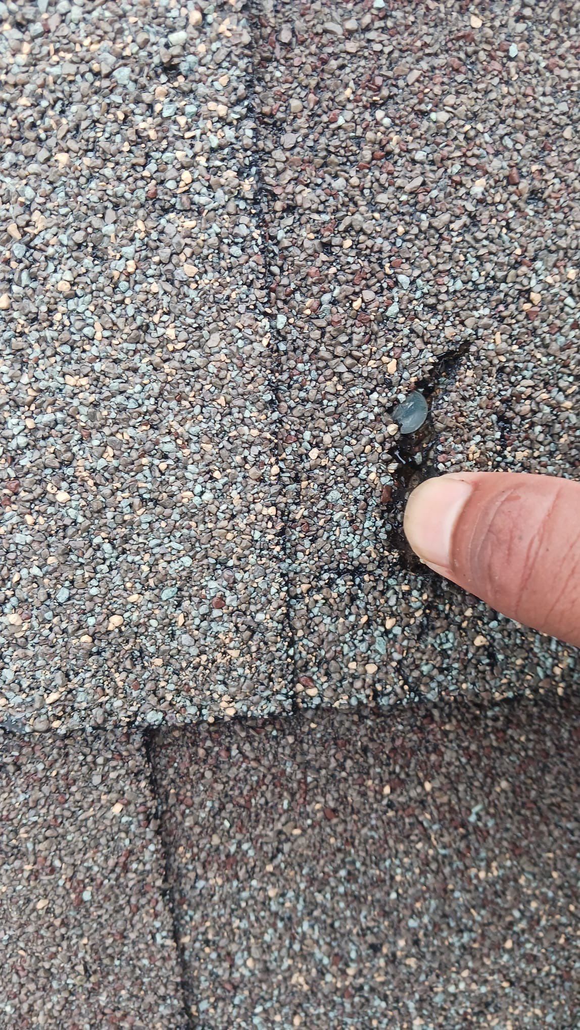 Hail Damage using Owen's Corning Duration (Lifetime) Shingles by Roof Repair Company