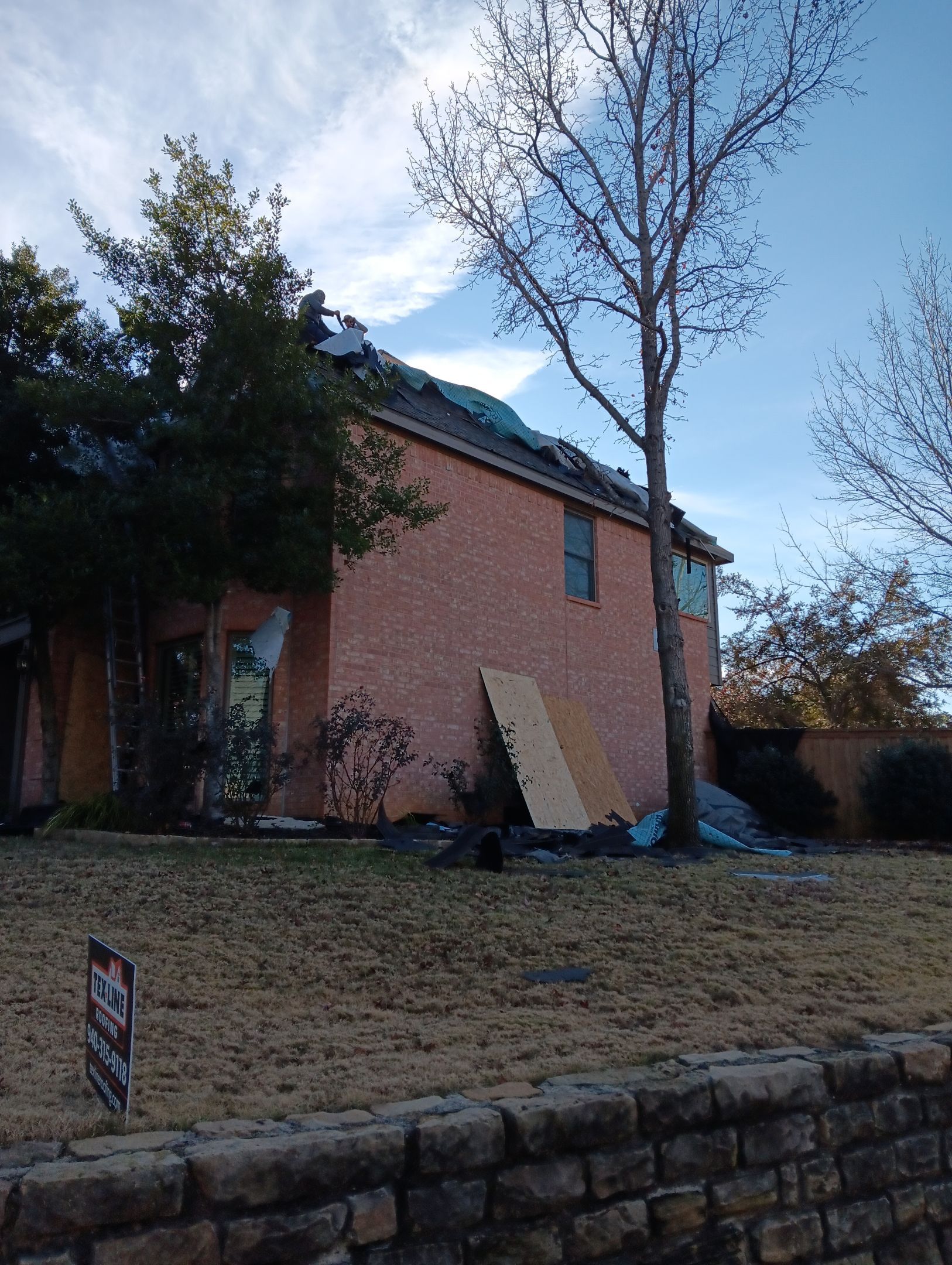 Impact Resistant Shingle  by Tex-Line Roofing