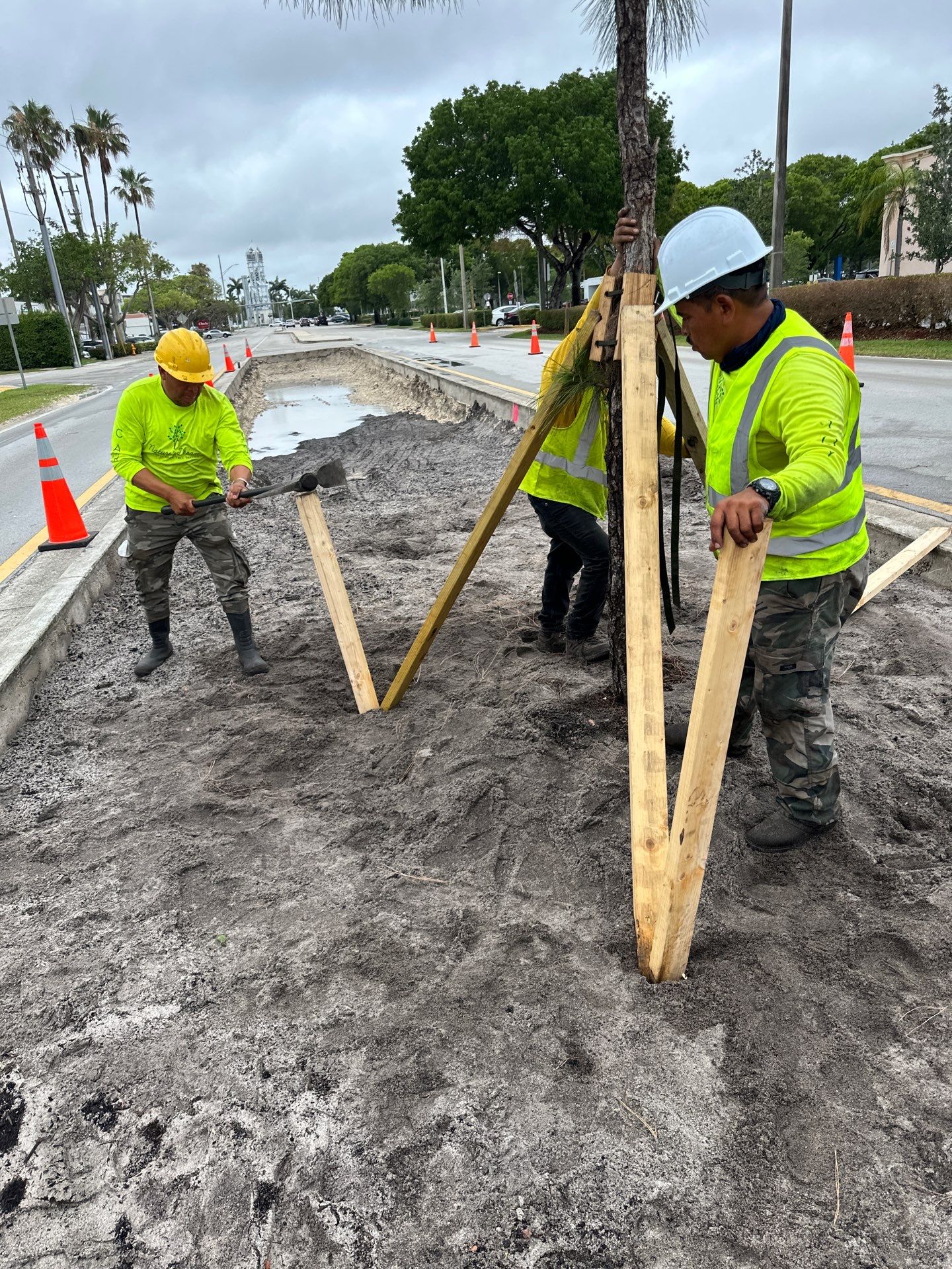 Pinecrest Median - New Native Landscape by Nature's Dream by Nature's Dream Landscape and Tree Service