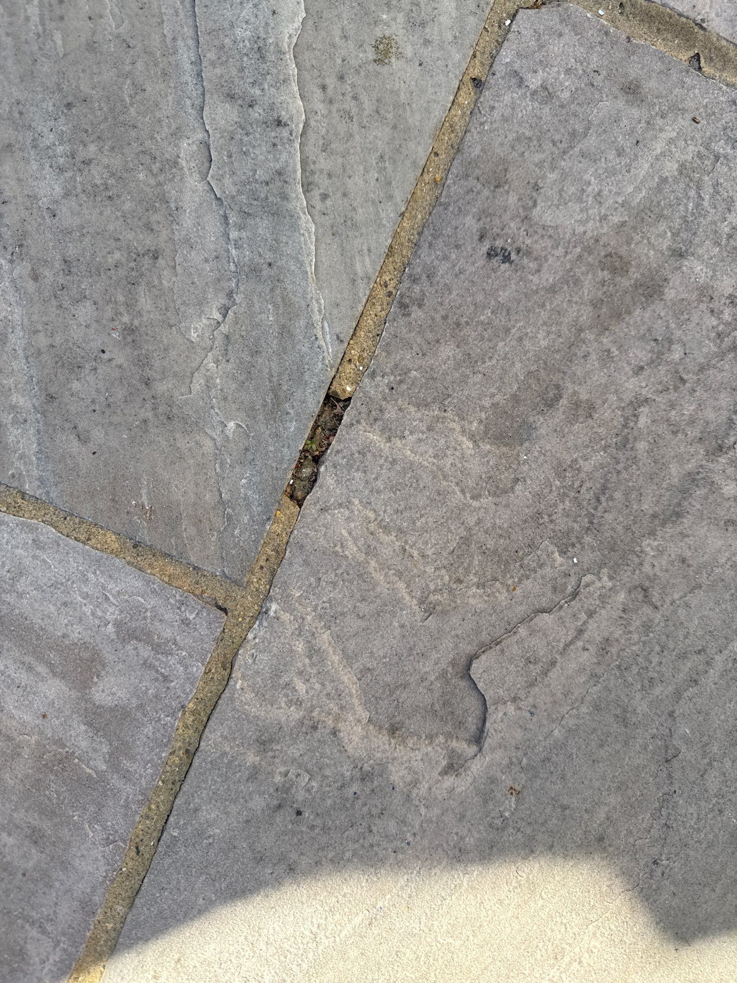 Exterior Pre-Sale Clean by Ges Exterior Cleaning ltd