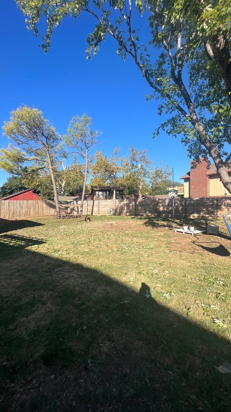 Tree removal , Concrete, Pergola, and sod install  by Clays Services Inc