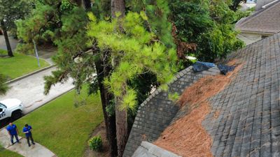 Project in Houston