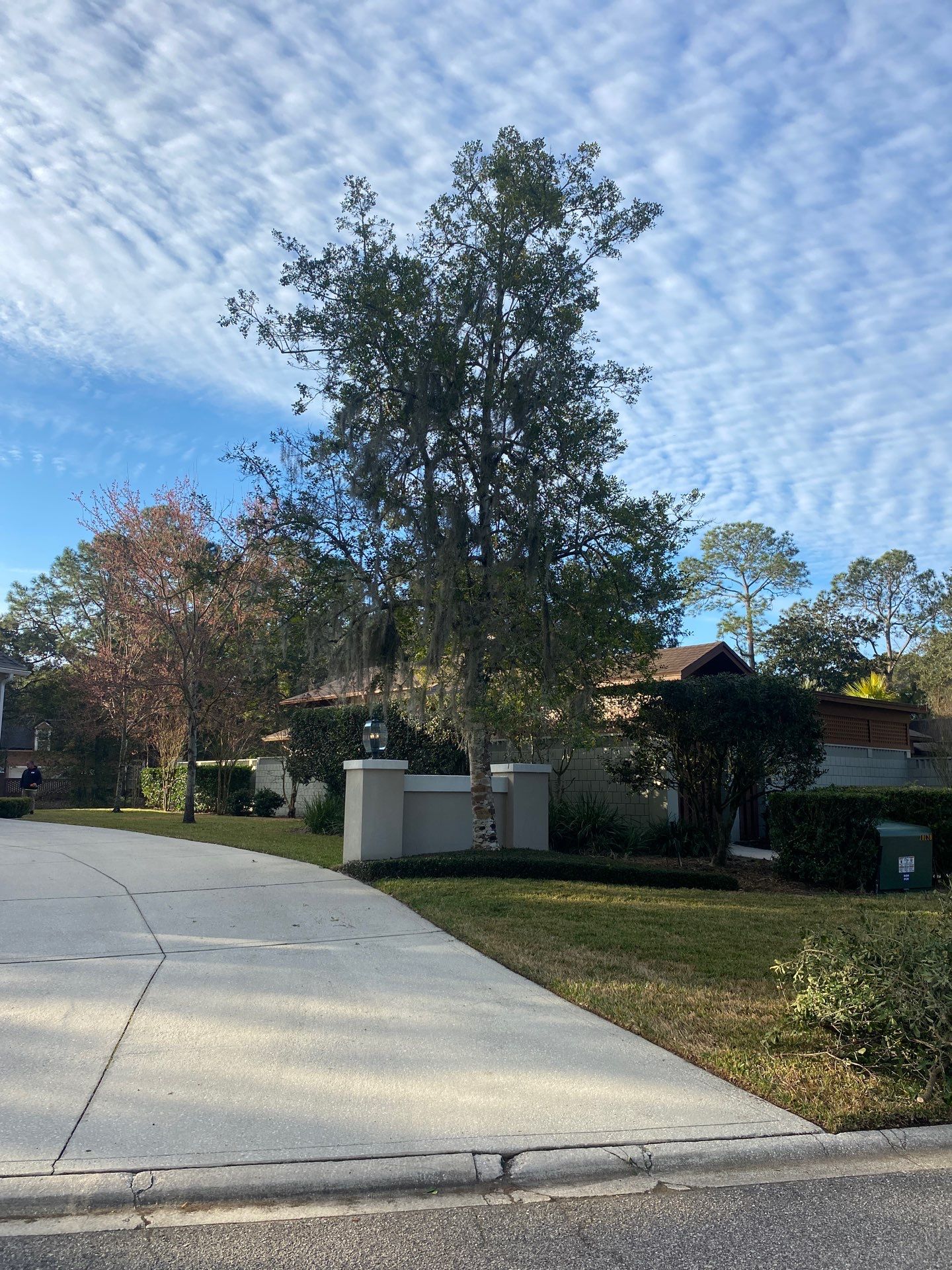 Deerwood Resident | Tree Removal & Trench by ProGreen Services