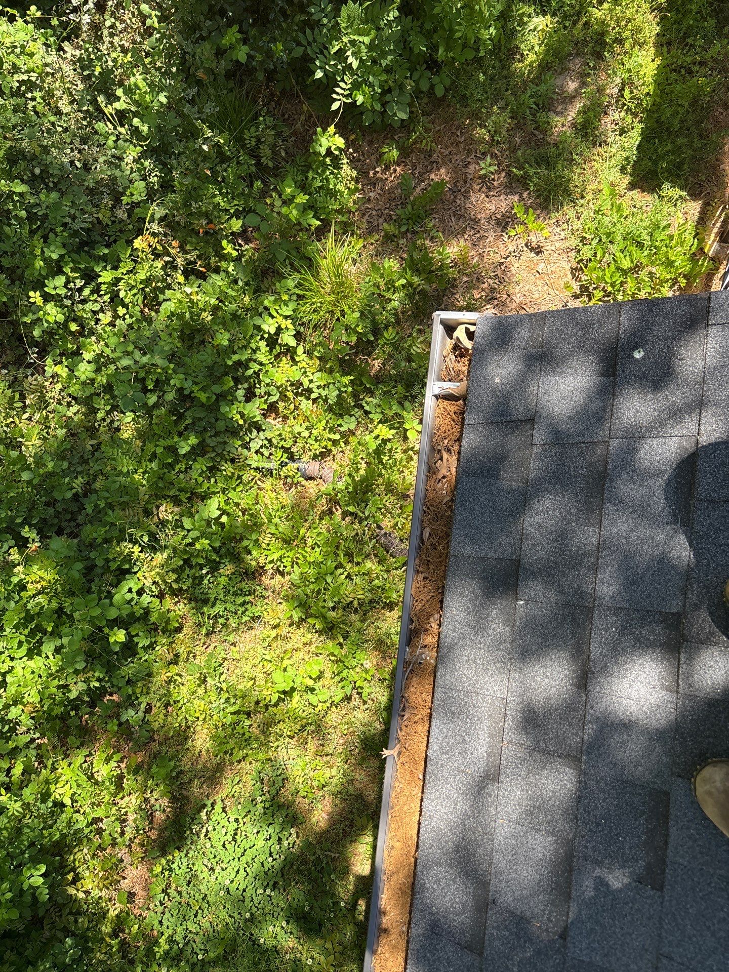 Commercial gutter cleaning Duluth & Gwinnett, GA before photo with filled gutters