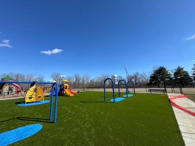 Playground Grass in Plainfield, IN