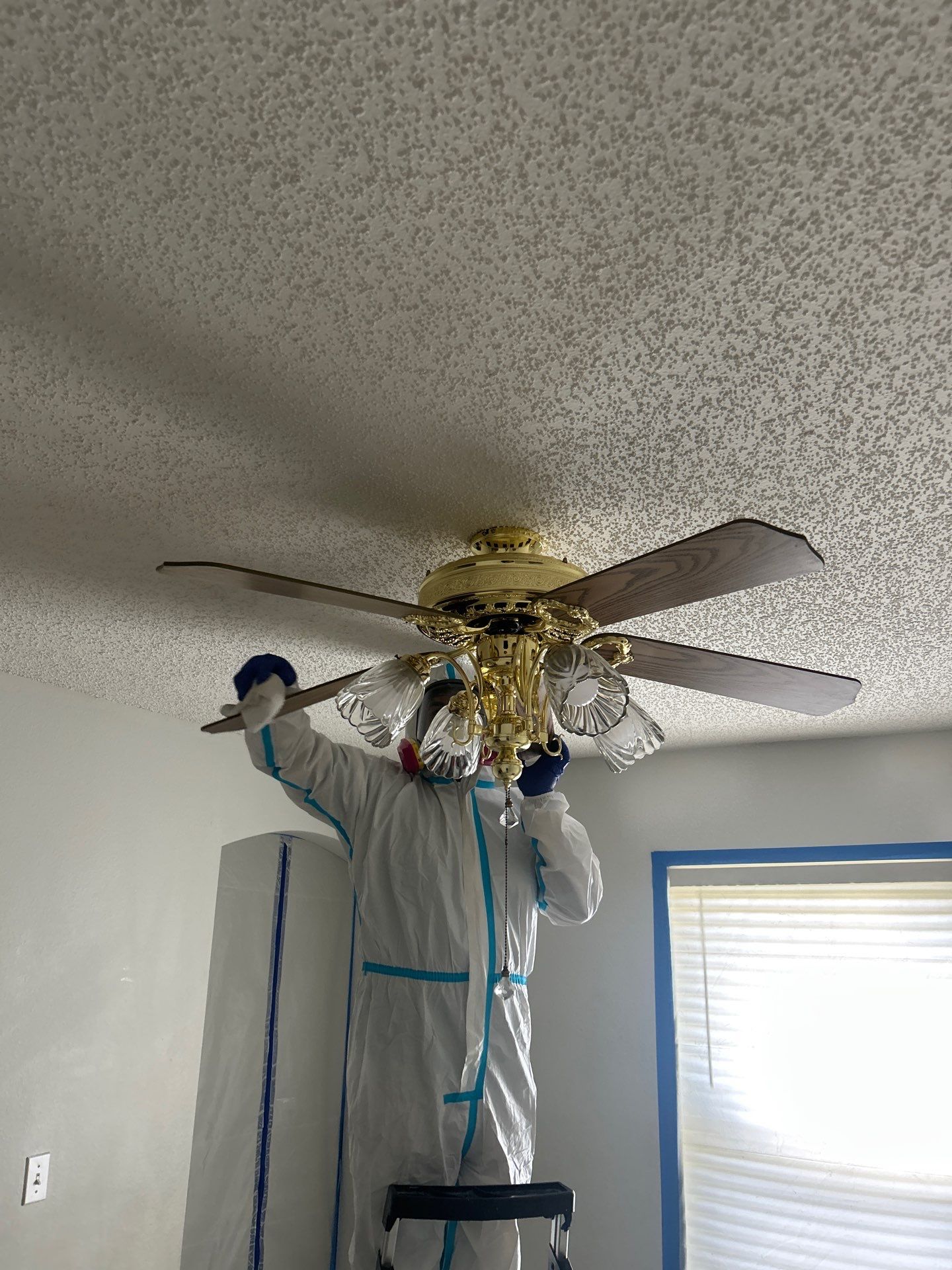 Stansell - water and mold photos  by THE RAPID TEAM