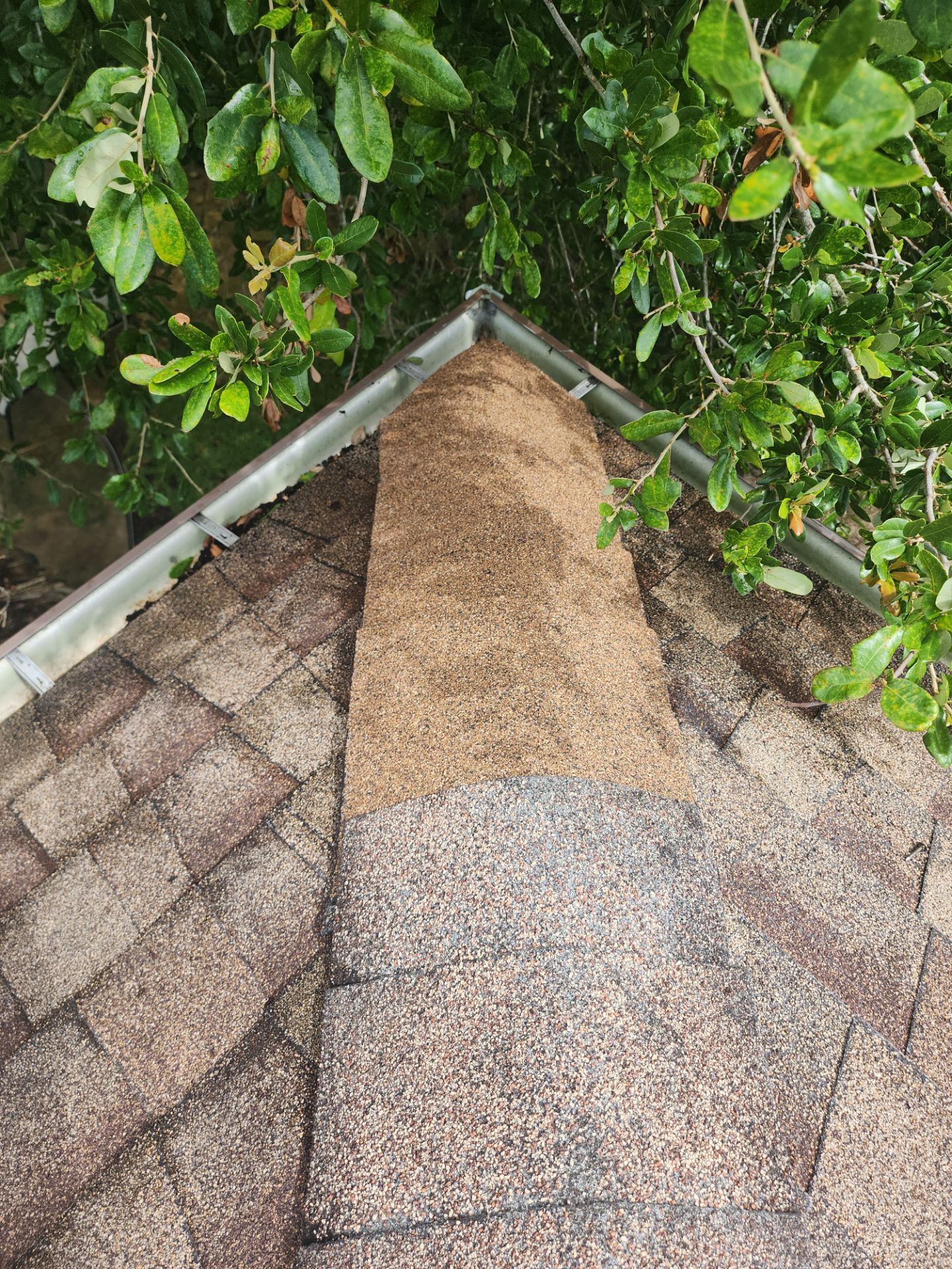 Hail Damage using Owen's Corning Duration (Lifetime) Shingles by Roof Repair Company