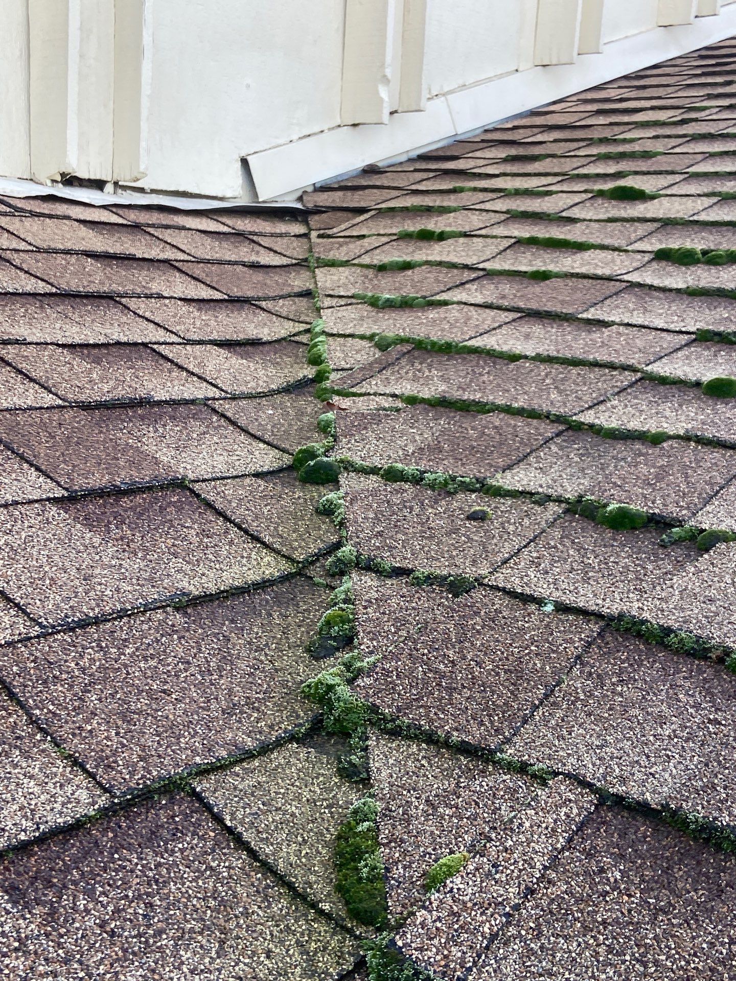 Roof Rejuvenation using Roof Maxx Treatment by Roof Maxx of Folsom