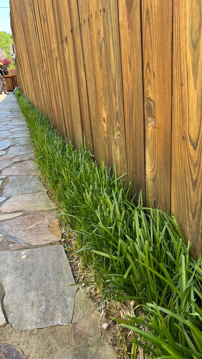 Liriope grasses, mulch and stone pavers by GrassBusters, Inc.