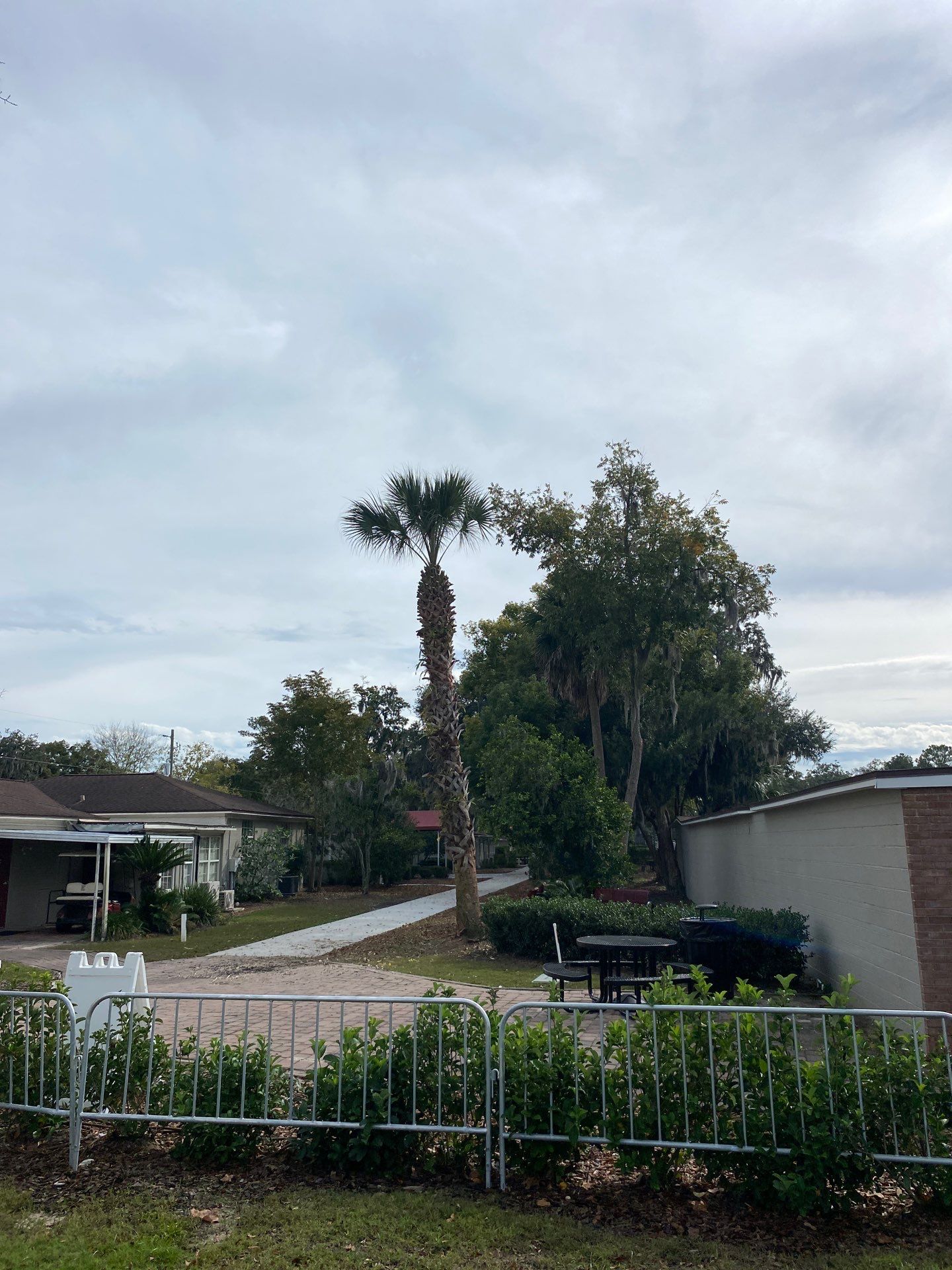 Volunteer Work | Episcopal High School of Jacksonville by ProGreen Services