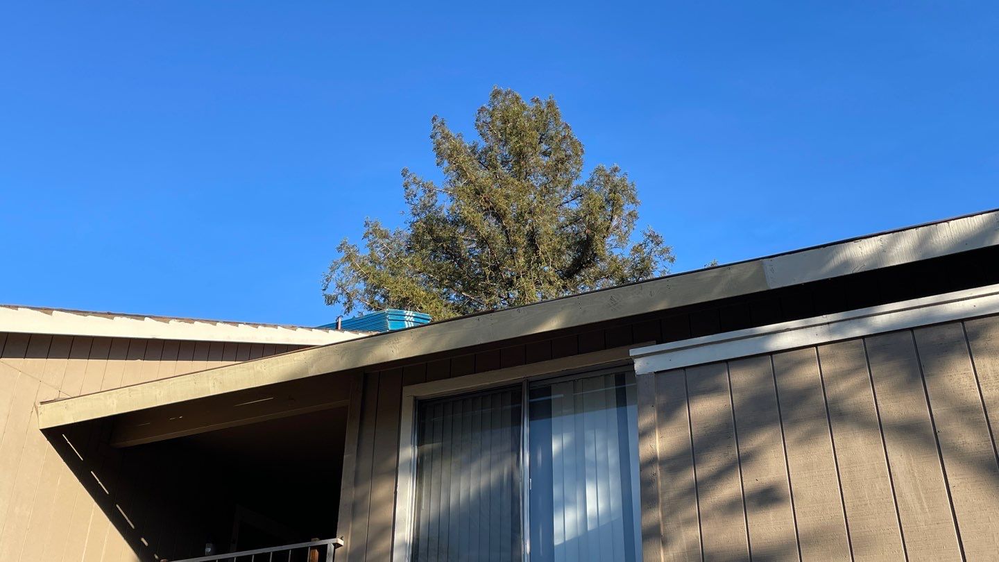 Removed tile from roof and replaced with shingles by Straight Edge Roofing Inc