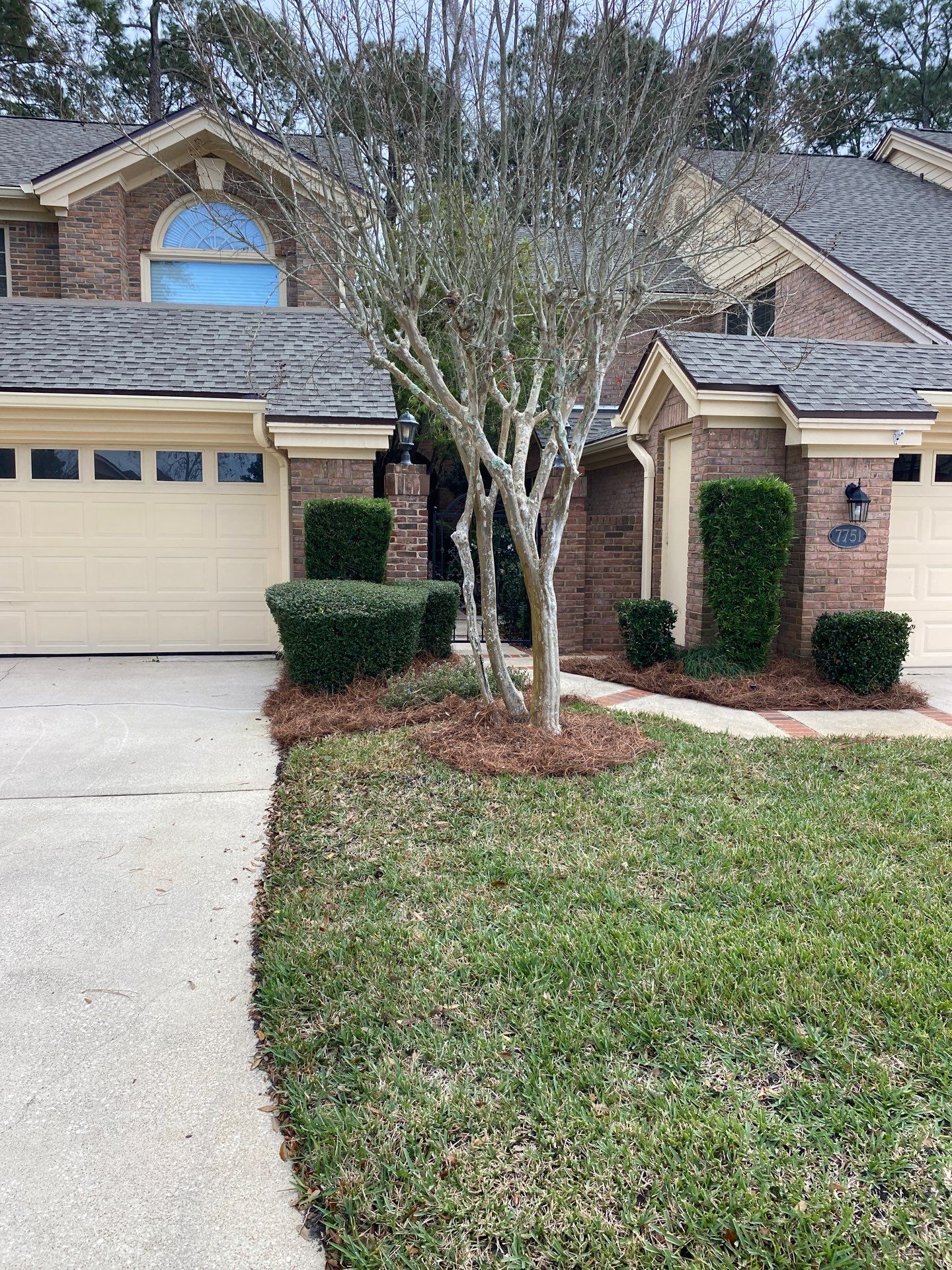 Deerwood Pointe | Tree Removal & Pine Straw Installation by ProGreen Services