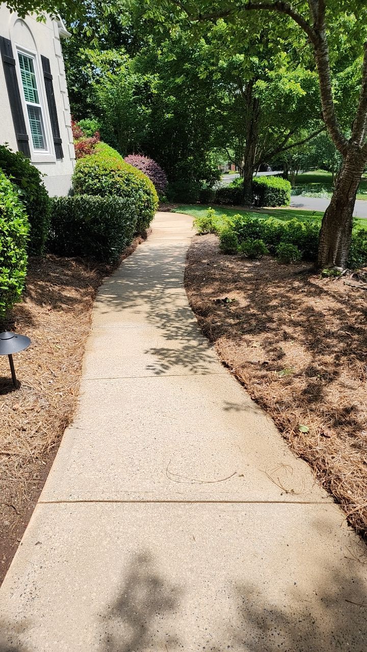 House Wash using cleaner by Power Wash Masters LLC
