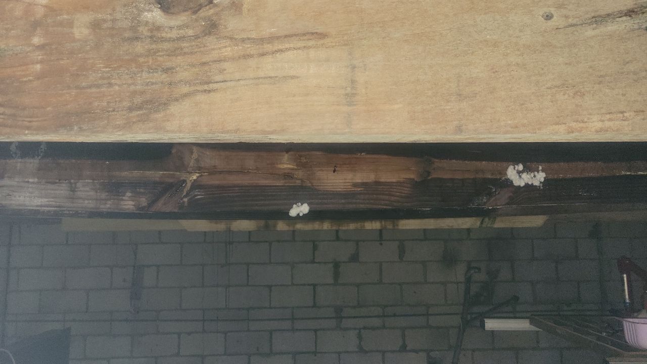 truses repair and new deking  by Xtreme interior company LLC